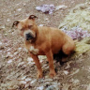 Meet your Posher, Stephany